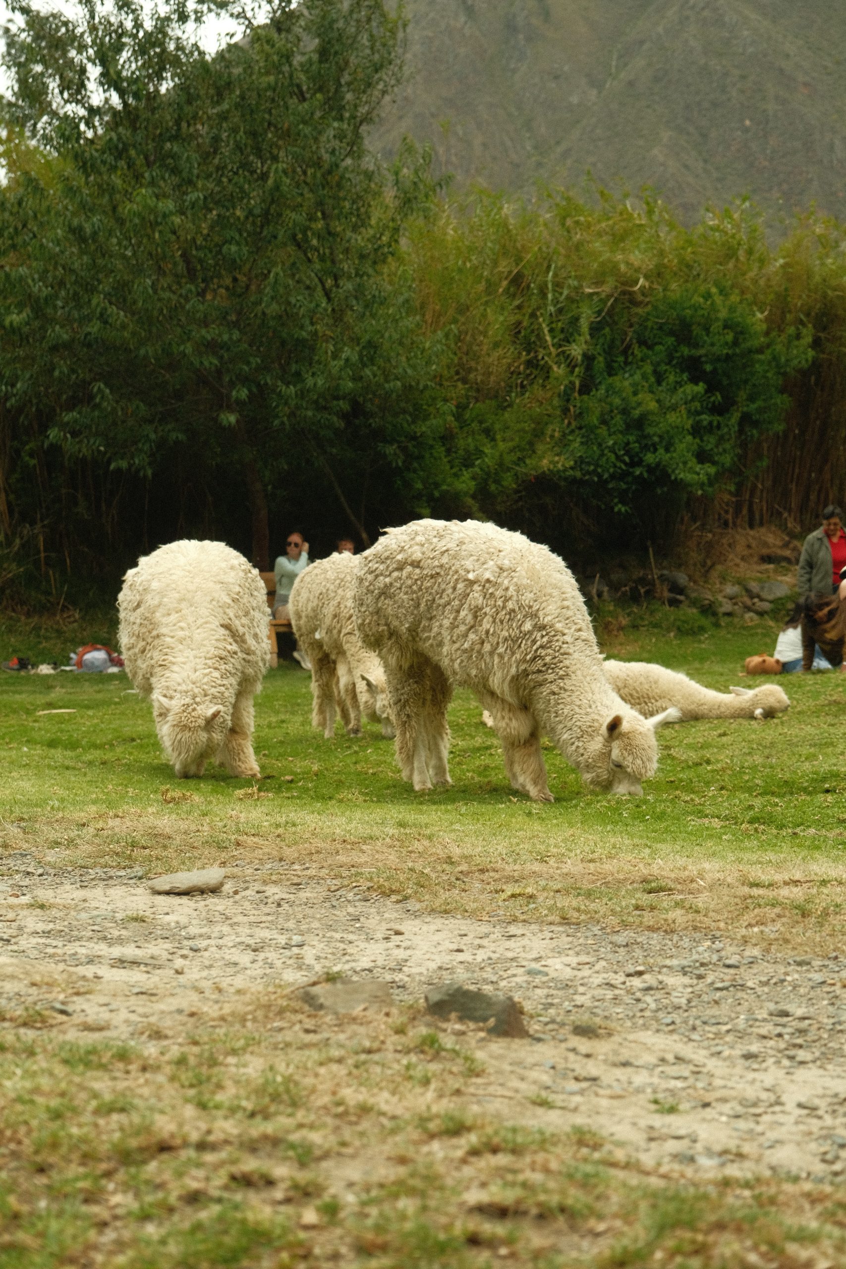 Ollantaytambo, Perú